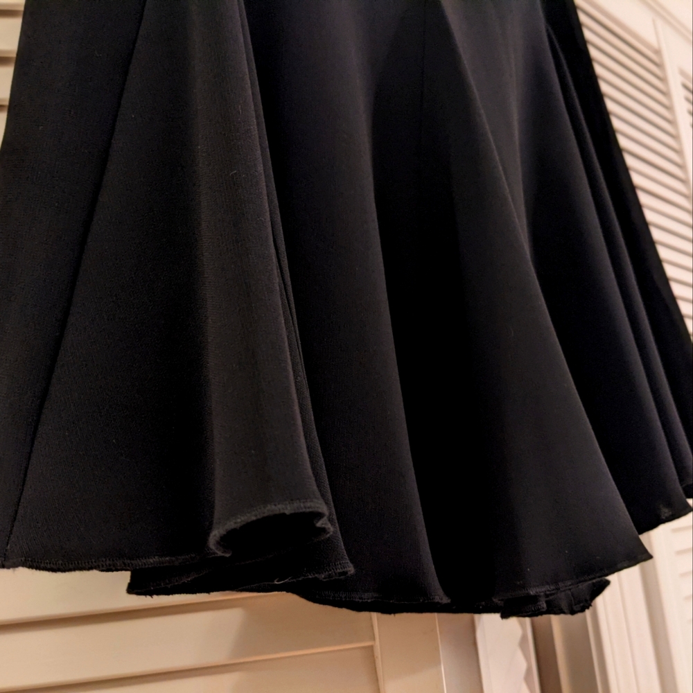 Dana Buchman skirt (4p)